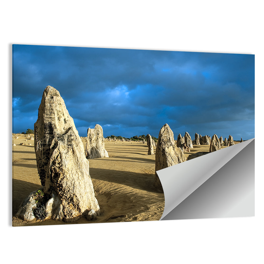 Pinnacle Nambung Wall Art