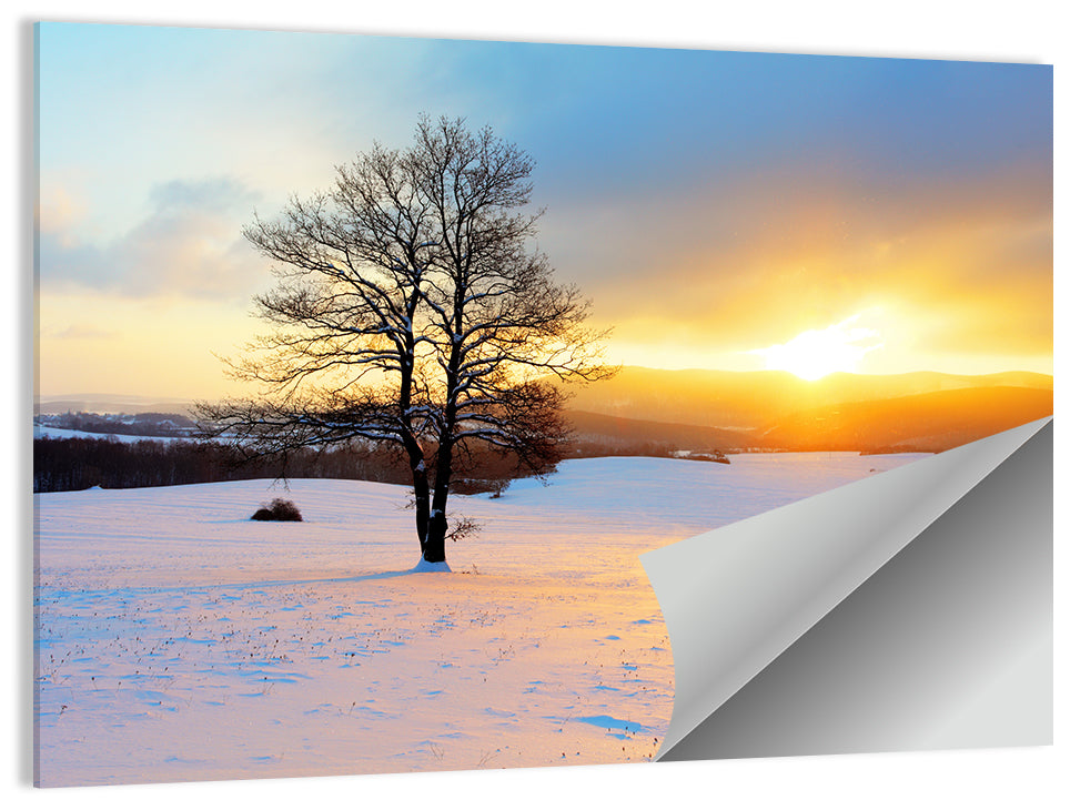 Snowy Winter Sunrise Wall Art