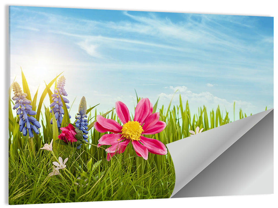 Spring Grass Flowers Wall Art