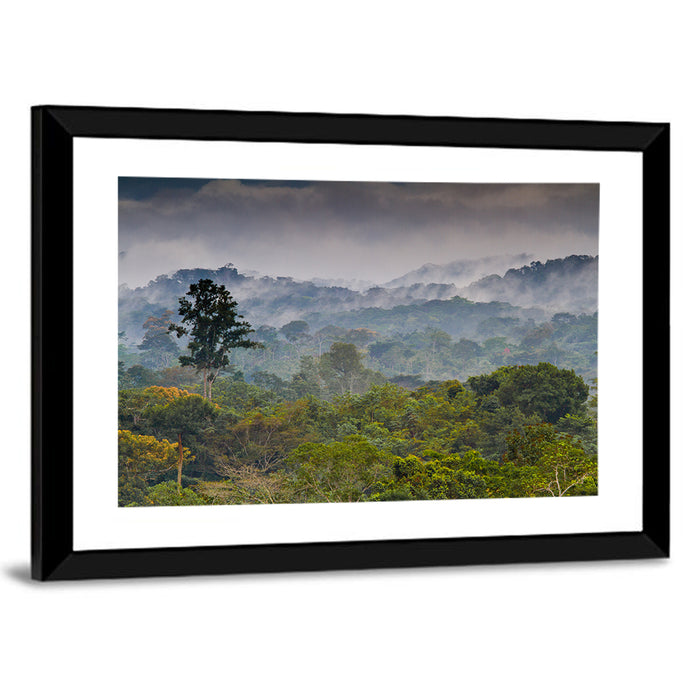 Guinea Rainforest Landscape Wall Art as a framed print