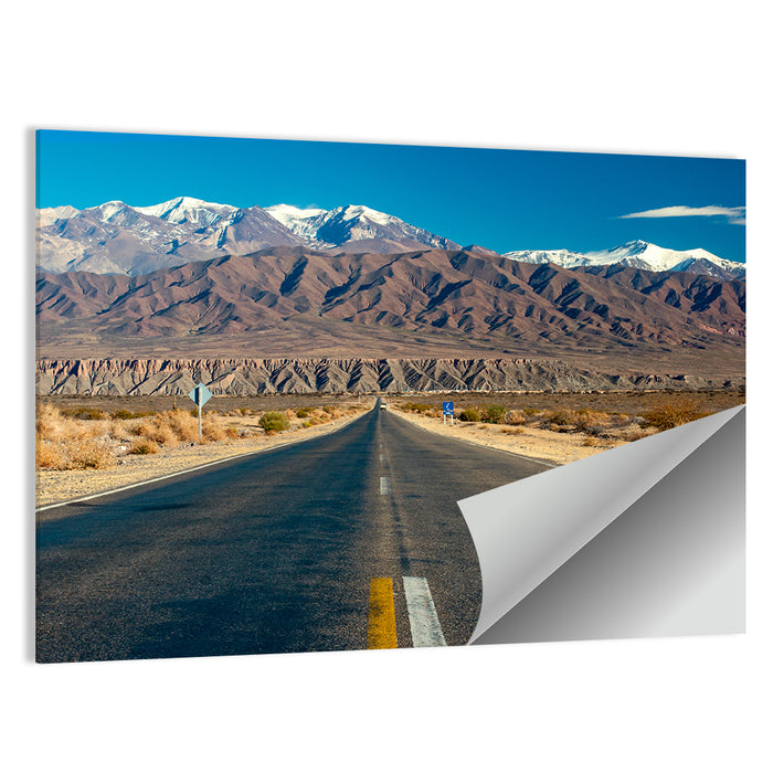 Northern Argentina Desert Road Wall Art as a poster print