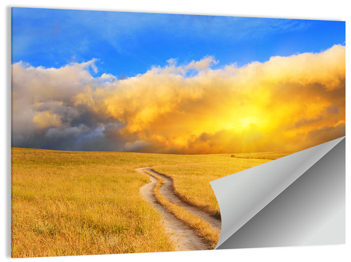 Sunlit Meadow Path with Dramatic Clouds Wall Art as a poster print