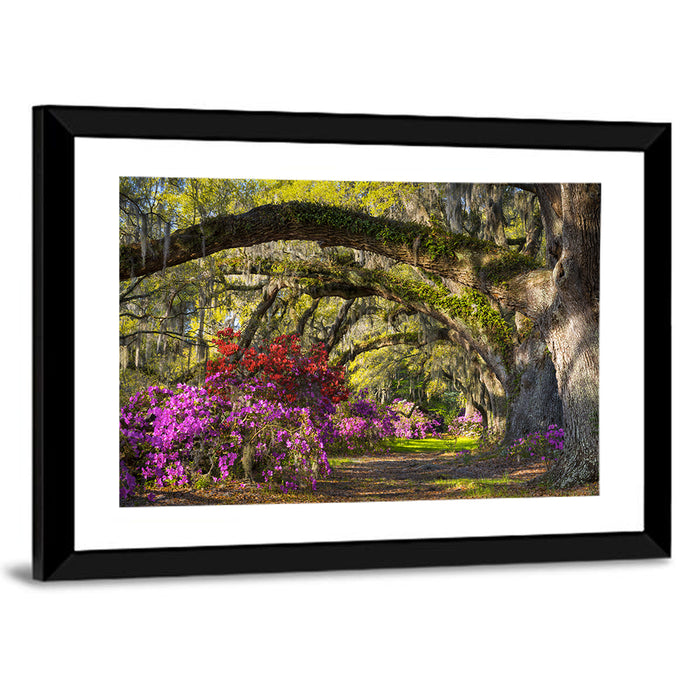 Azalea Garden Path Wall Art as a framed print