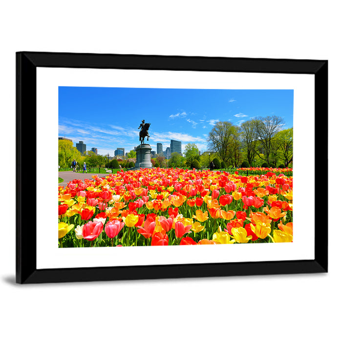 Boston Public Garden Tulips Wall Art as a framed print