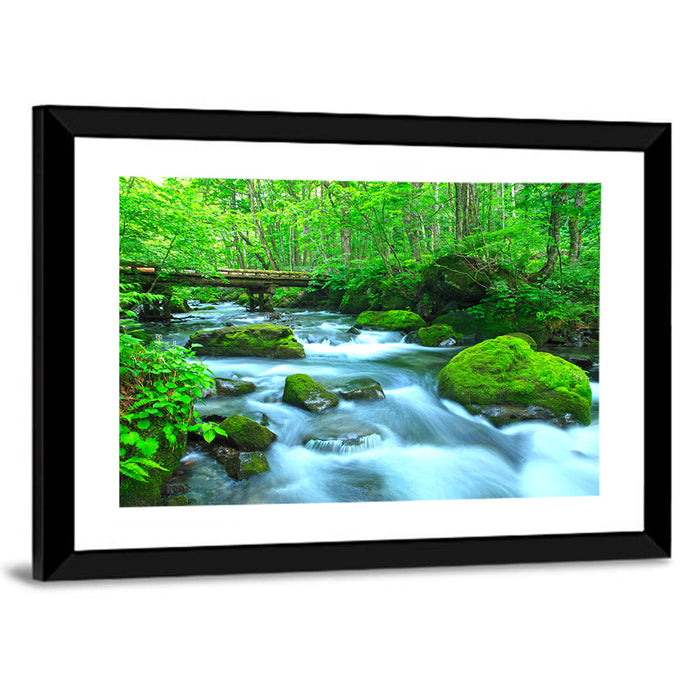 Mossy Forest Stream Wall Art as a framed print
