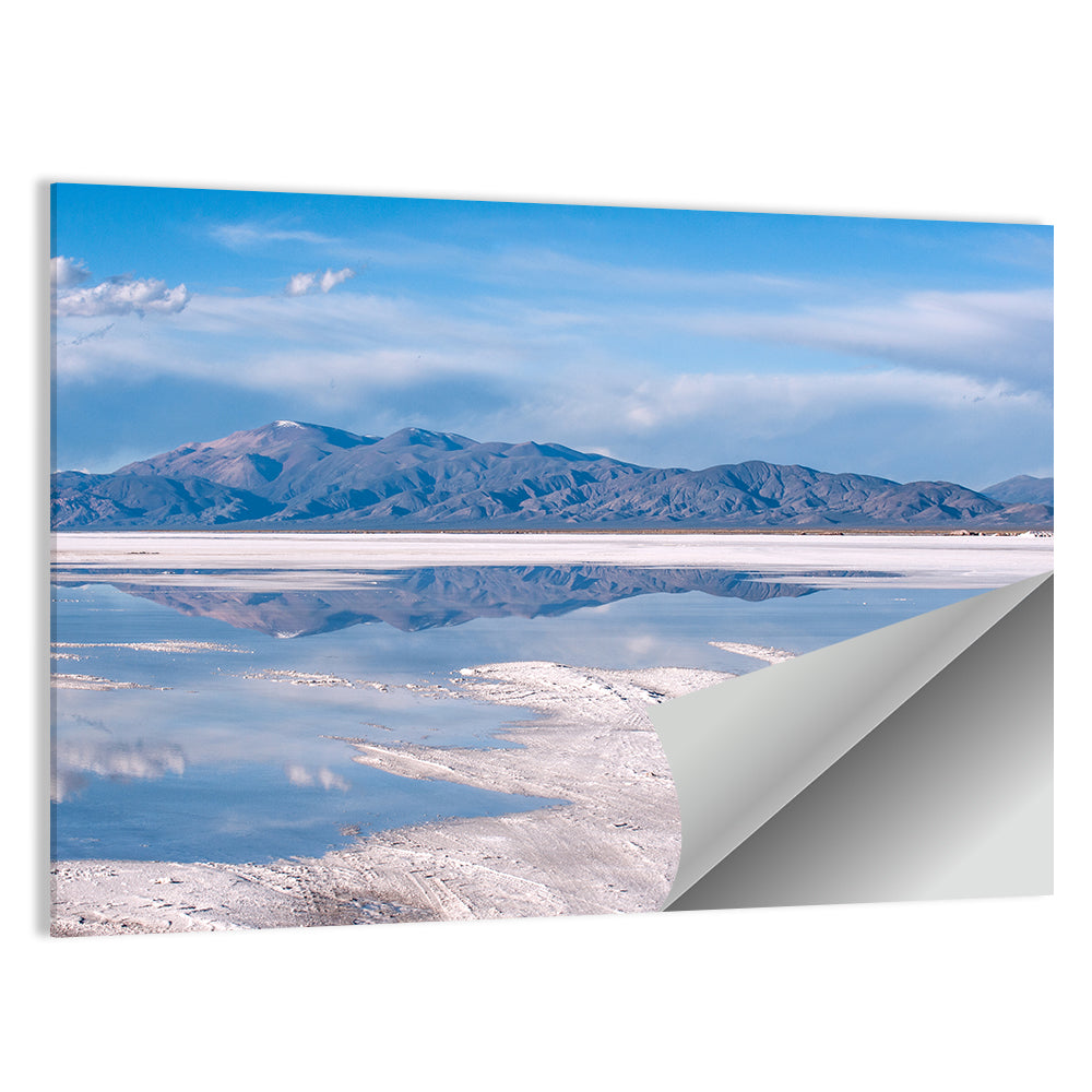 Salinas Grandes Wall Art