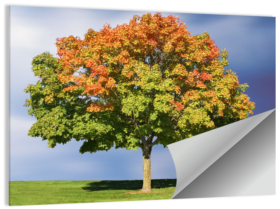 Maple Tree Wall Art