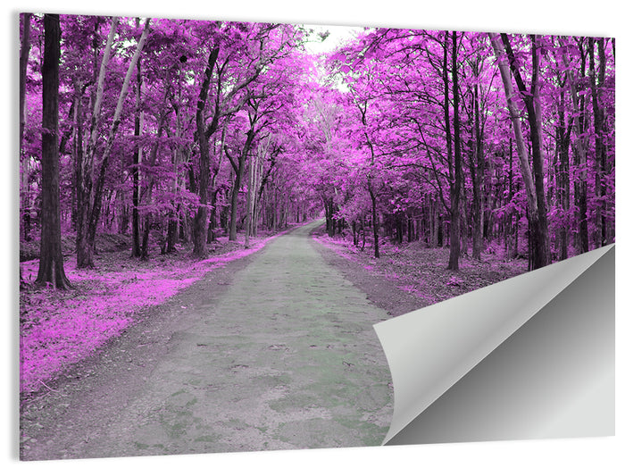 Magenta Autumn Forest Road Wall Art as a poster print
