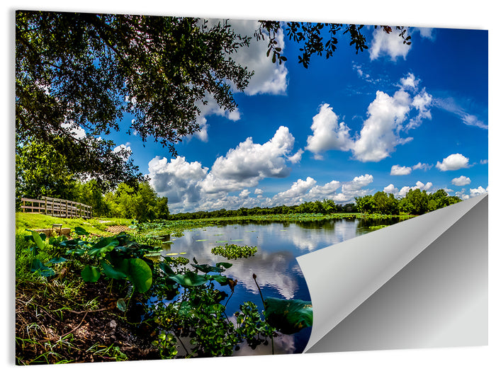 Brazos Bend Lake Reflection Wall Art as a poster print