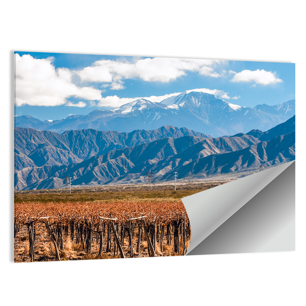 Volcano Aconcagua And Vineyard Wall Art
