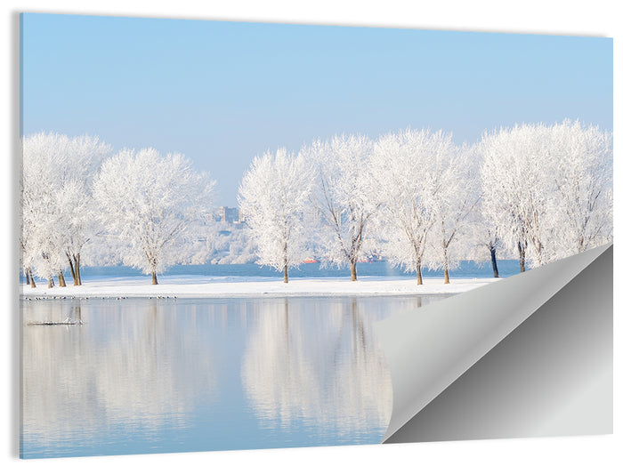 Frosted Winter Trees Reflected on a Quiet Lake Wall Art as a poster print