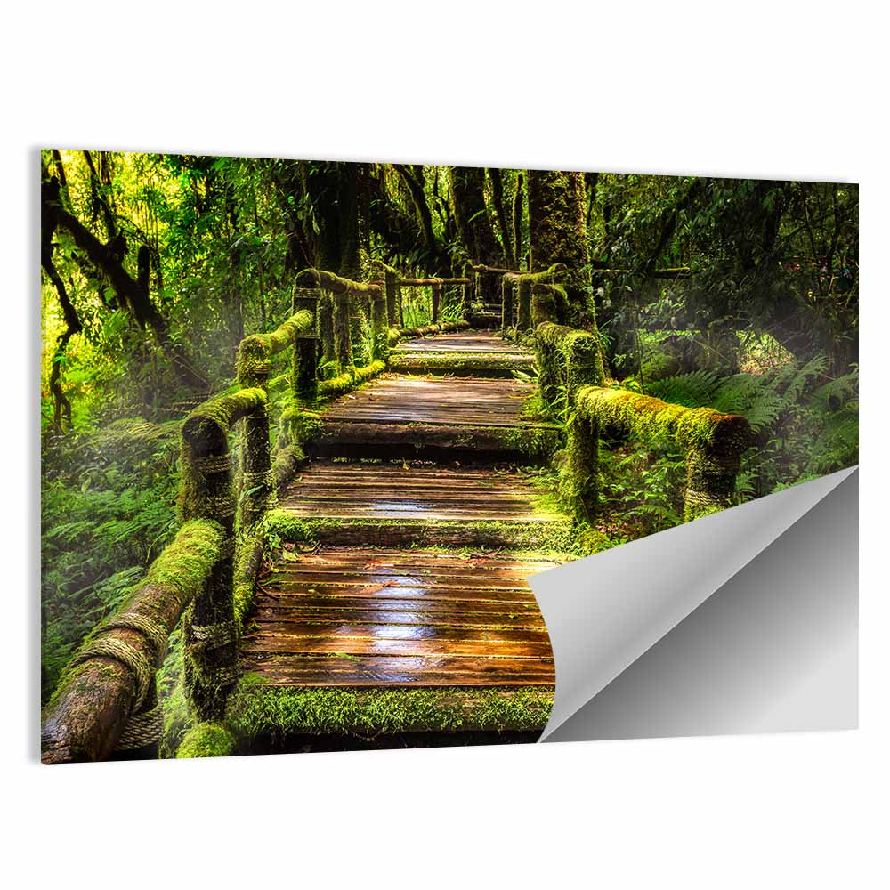 Ang Ka Nature Trail Wall Art, poster print, landscape