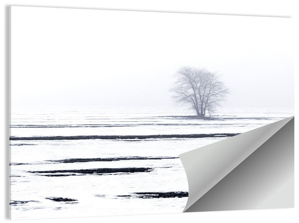 Winter Landscape Wall Art