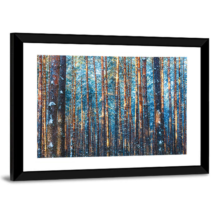 Golden Hour Winter Pine Forest Wall Art as a framed print