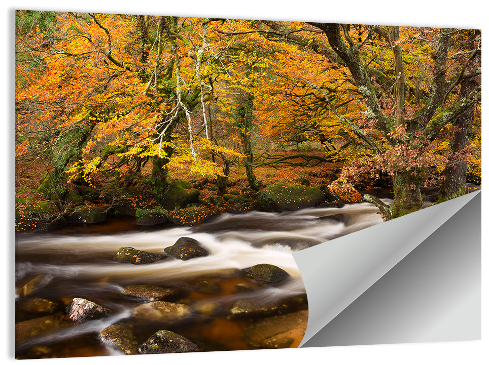 Dartmoor National Park Wall Art