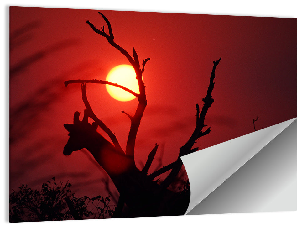 Giraffe at Sunset Wall Art
