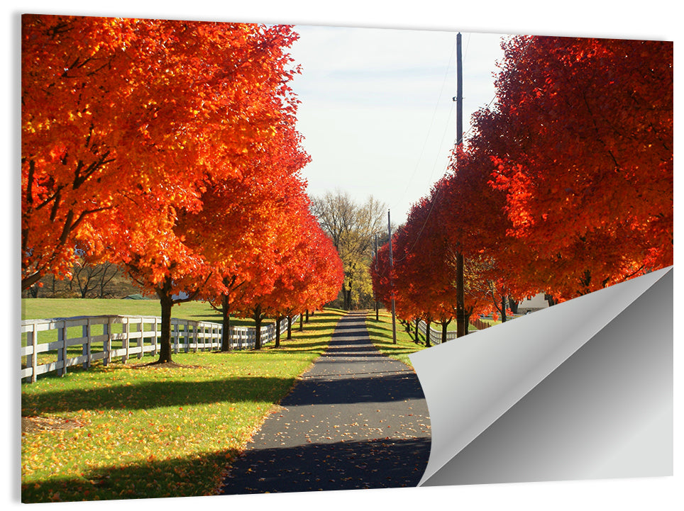 Frederick Farm Land Wall Art
