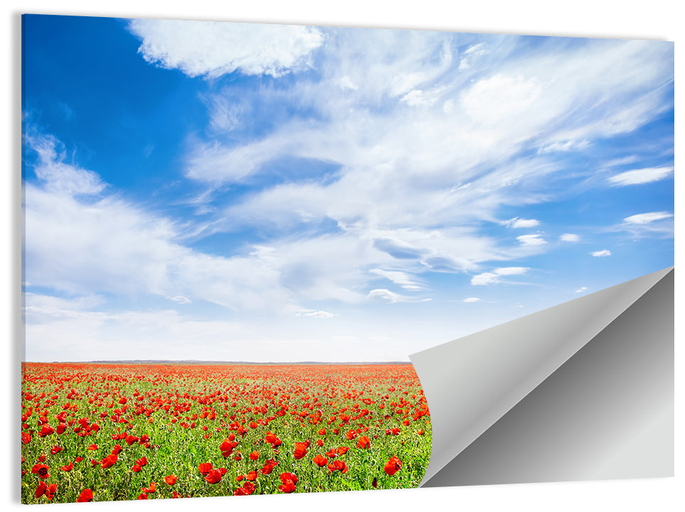 Poppy Field Wall Art