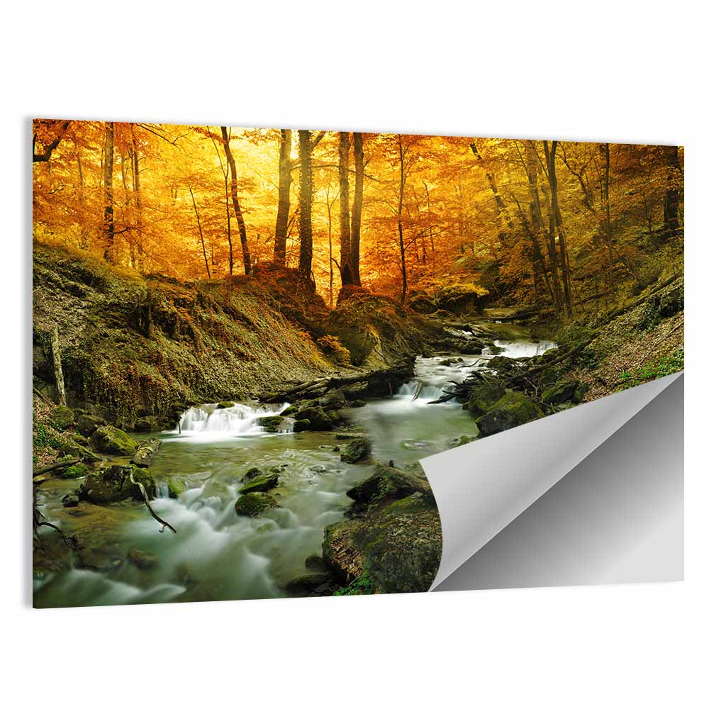 Forest Water Stream Wall Art