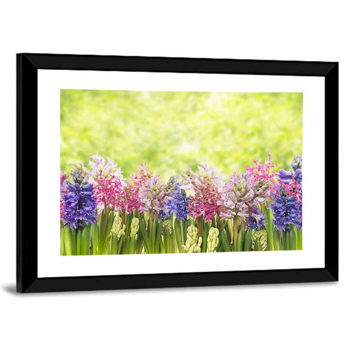 Hyacinth Cluster in Bloom Wall Art as a framed print