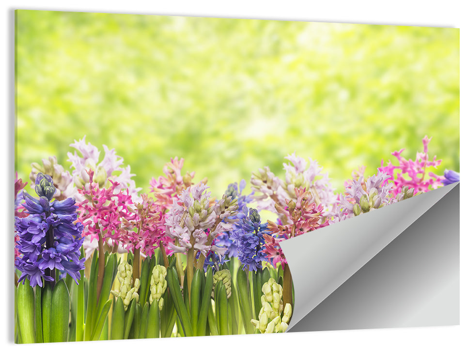 Hyacinths Flowers Wall Art