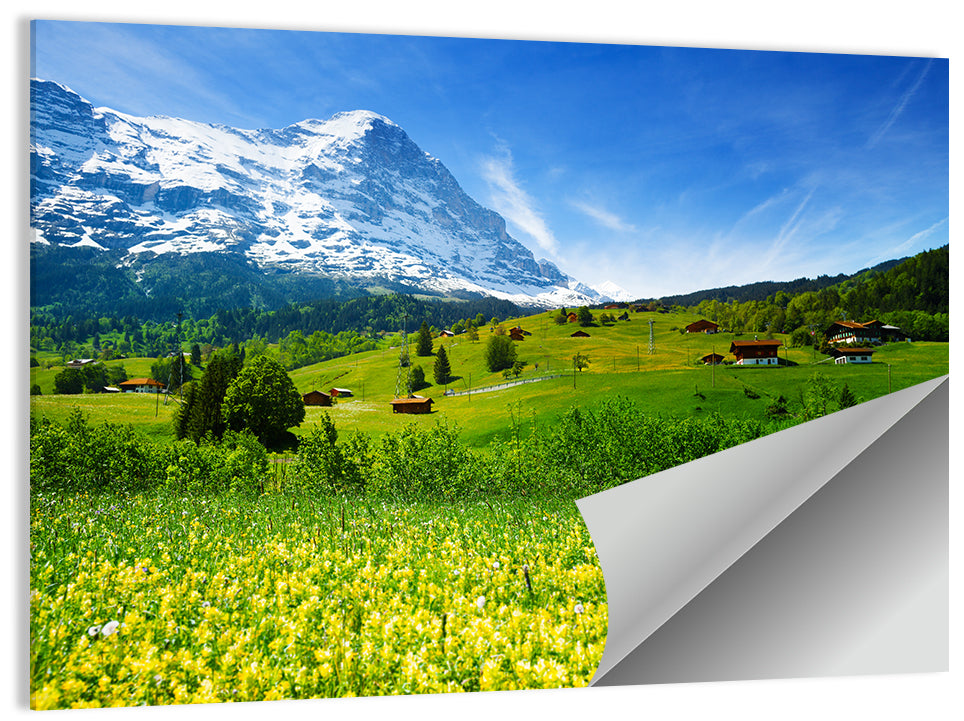 Alps Floral Field Wall Art