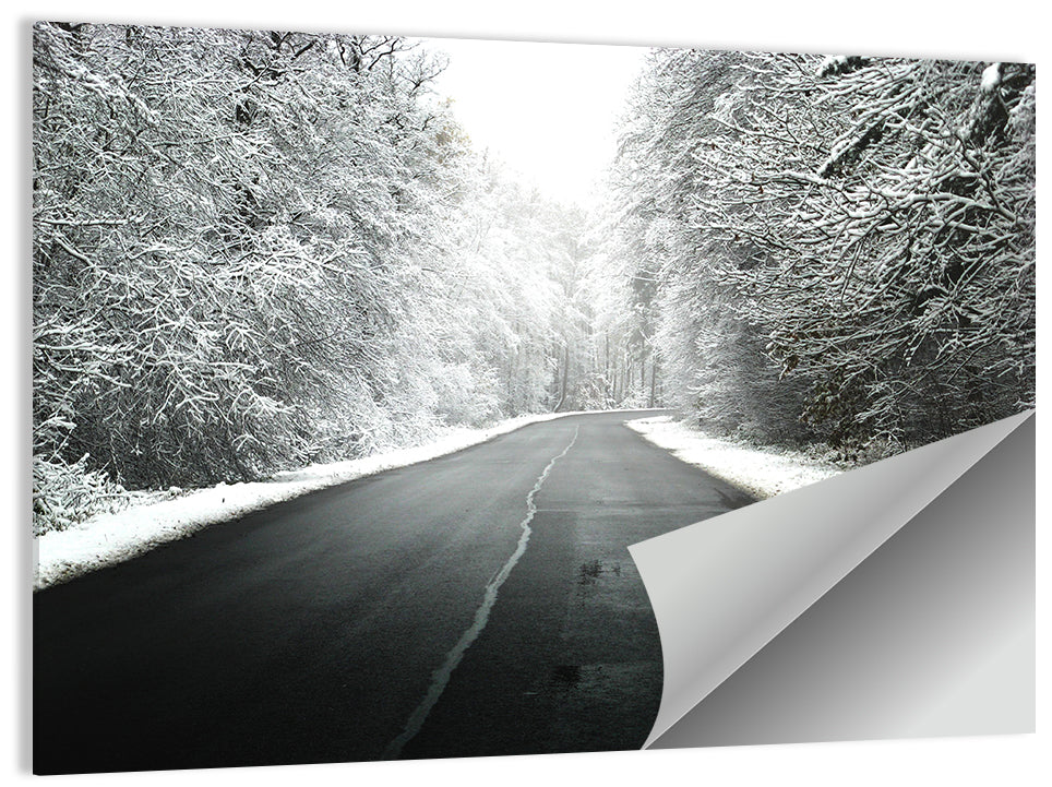 Foggy Winter Road Wall Art