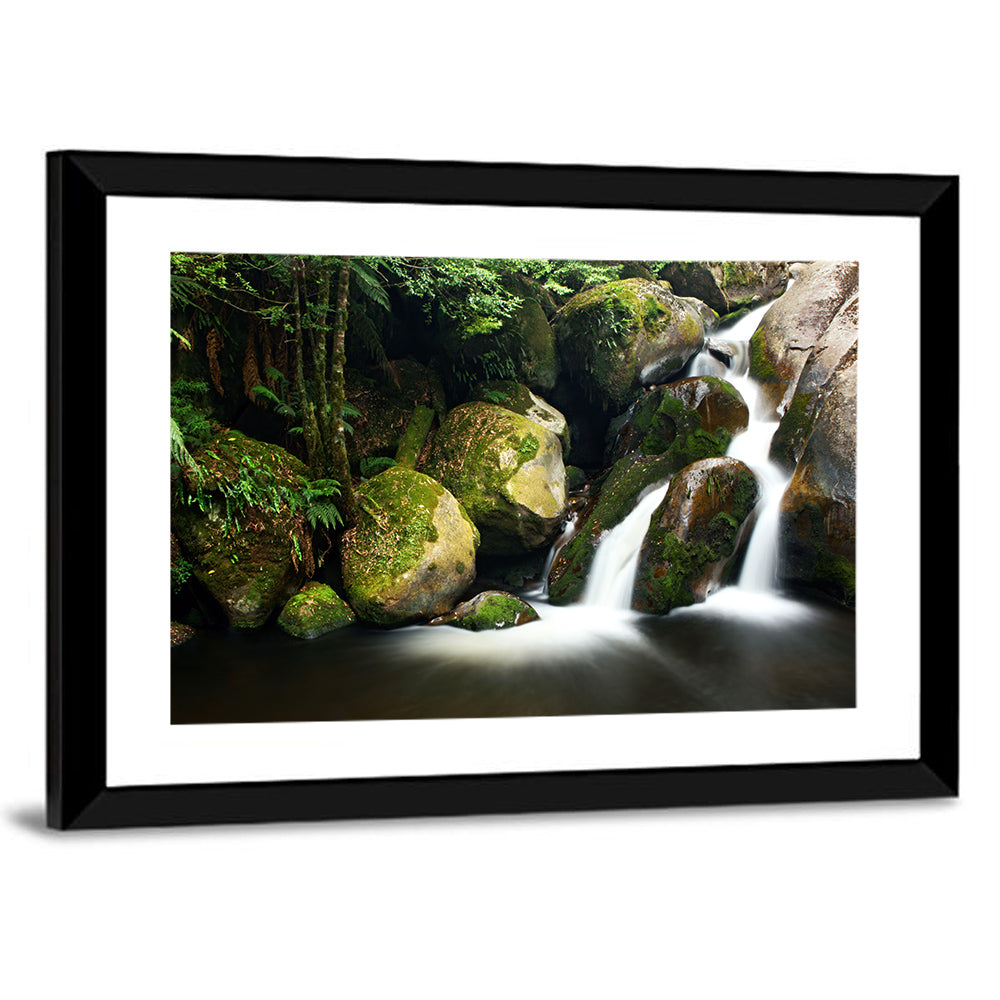 Rainforest Waterfall Wall Art