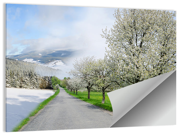 Season Change Road to Snowy Mountain Wall Art as a poster print