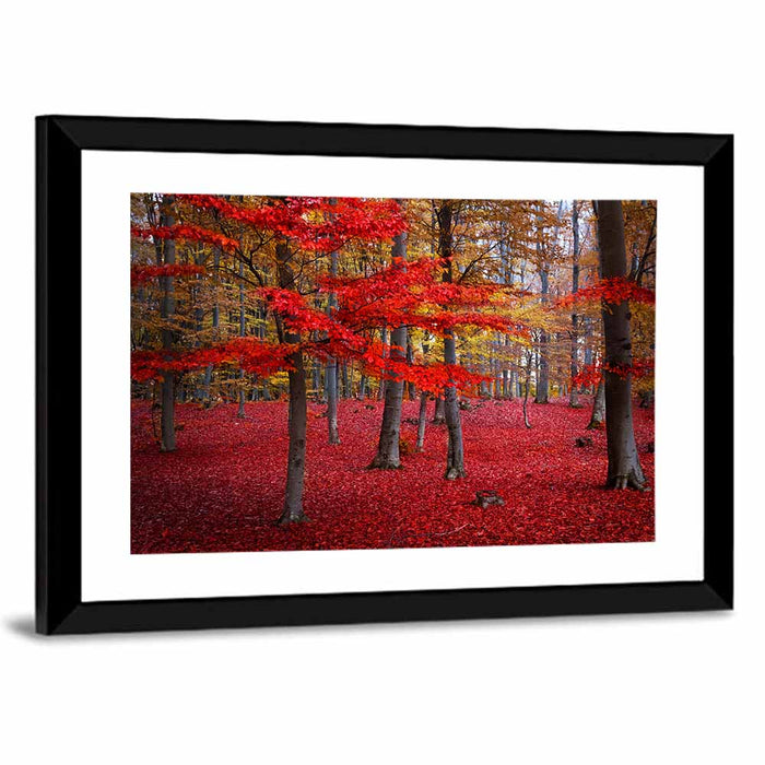 Crimson Autumn Forest Wall Art as a framed print
