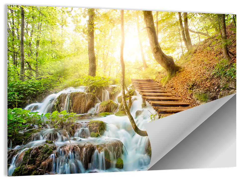 Croatian Forest Stream Wall Art