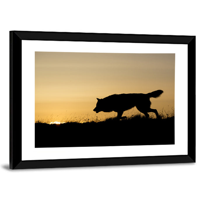 Wolf at Golden Horizon Wall Art as a framed print