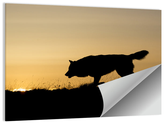 Wolf at Golden Horizon Wall Art as a poster print
