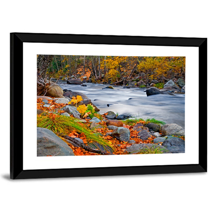 Golden Autumn Forest Creek Wall Art as a framed print