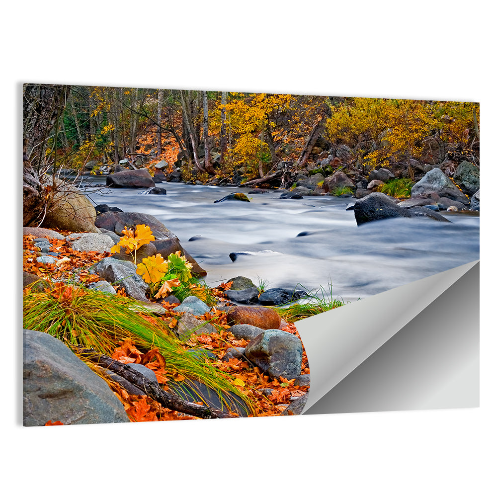 Autumn Forest Creek Wall Art