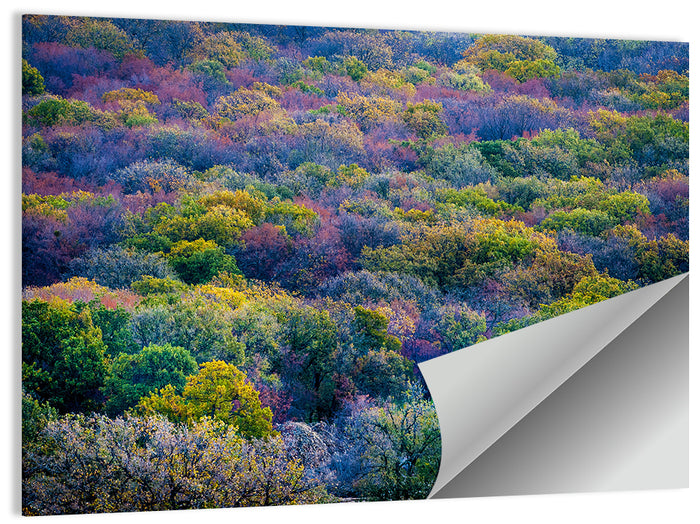 Autumn Canopy Forest with Cabin Roof Wall Art as a poster print