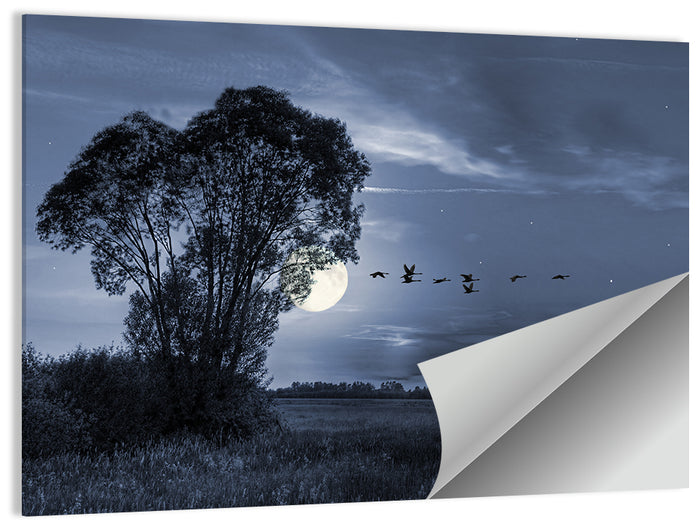Moonlit Birds Over Quiet Field Wall Art as a poster print