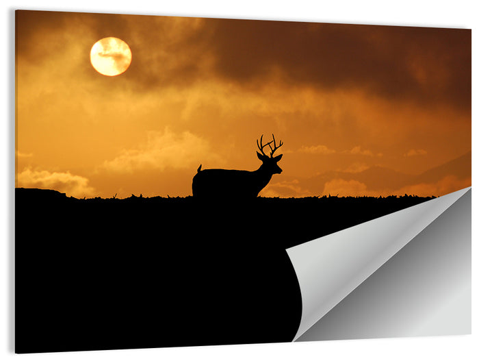 Deer at Sunset Wall Art as a poster print