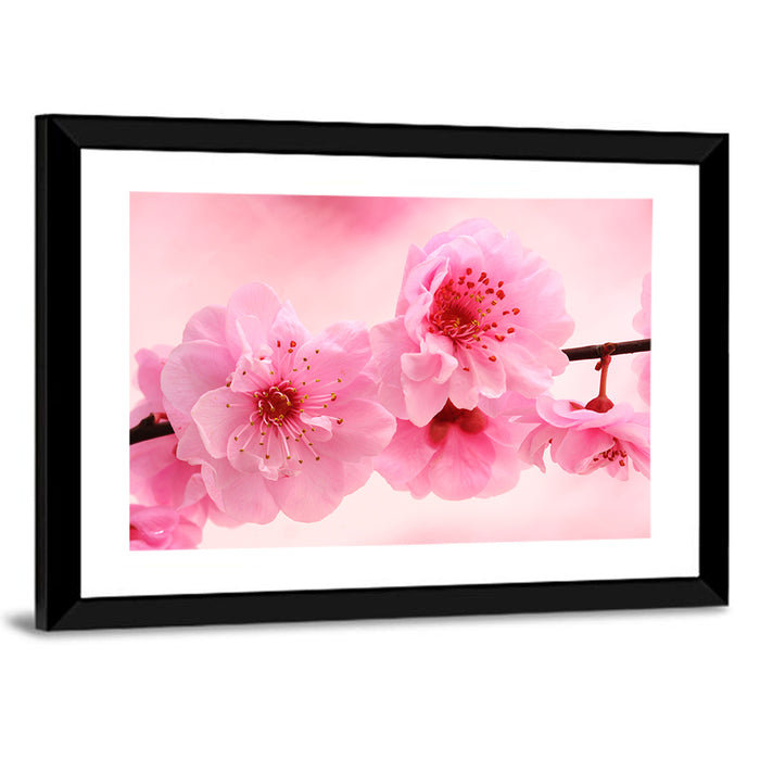 Cherry Blossom Branch Wall Art as a framed print