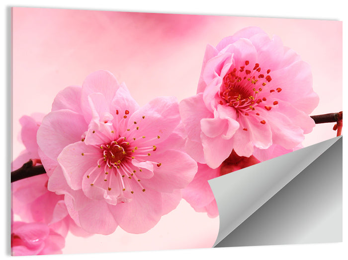Cherry Blossom Branch Wall Art as a poster print