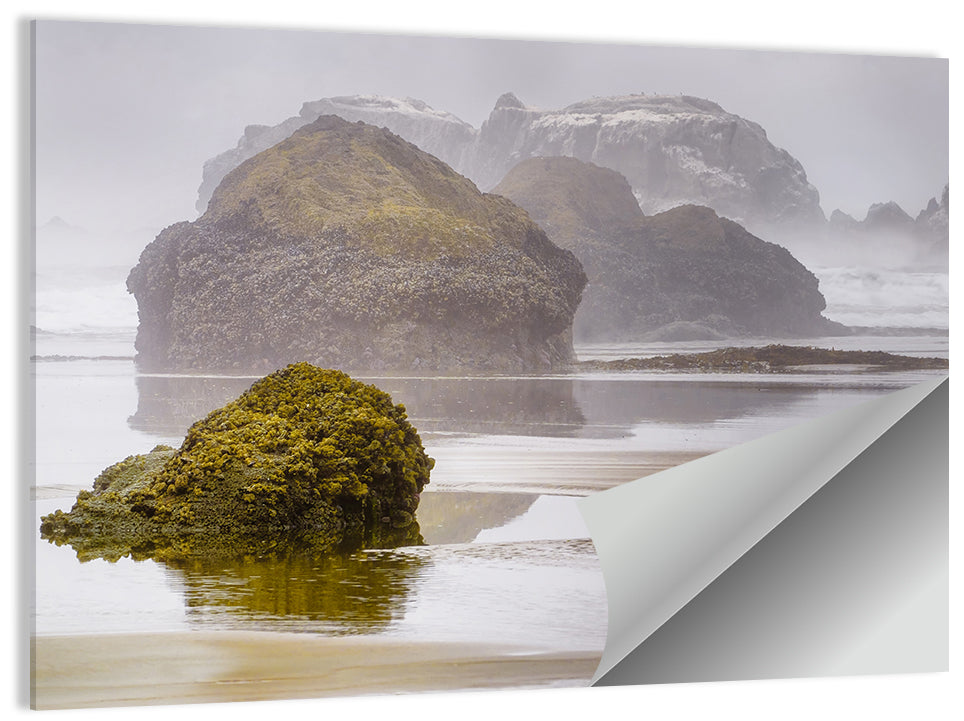 Foggy Oregon Coast Wall Art