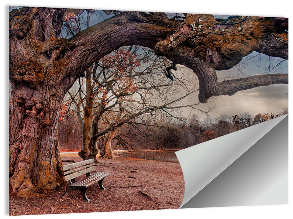 Nymphenburg Park Wall Art