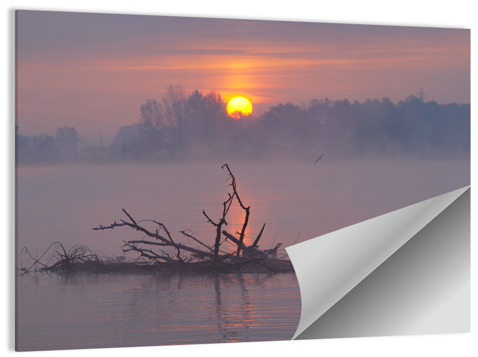 Misty Lake Sunrise Wall Art