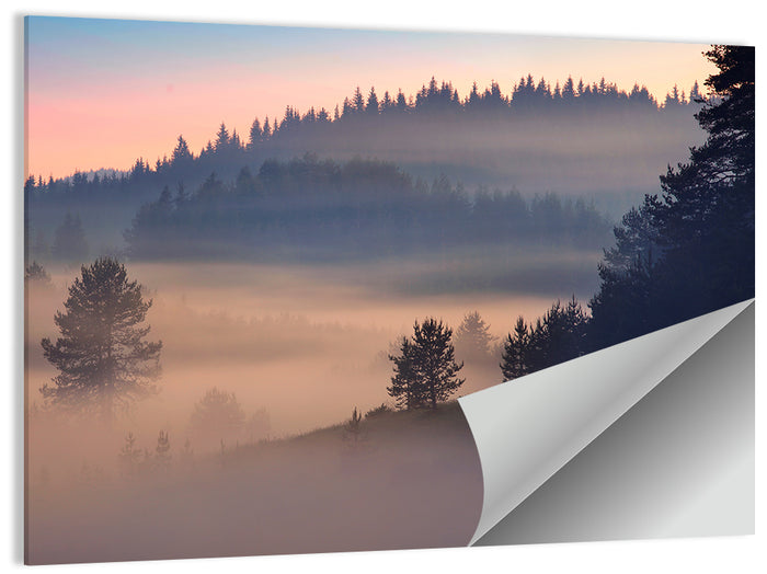 Misty Sunrise Forest Wall Art as a poster print