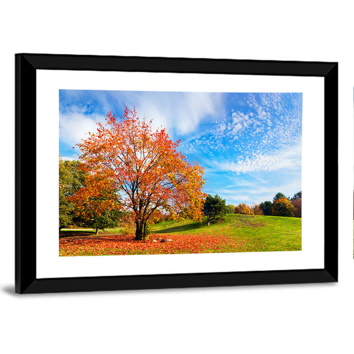 Orange Maple on Rolling Hill Wall Art as a framed print