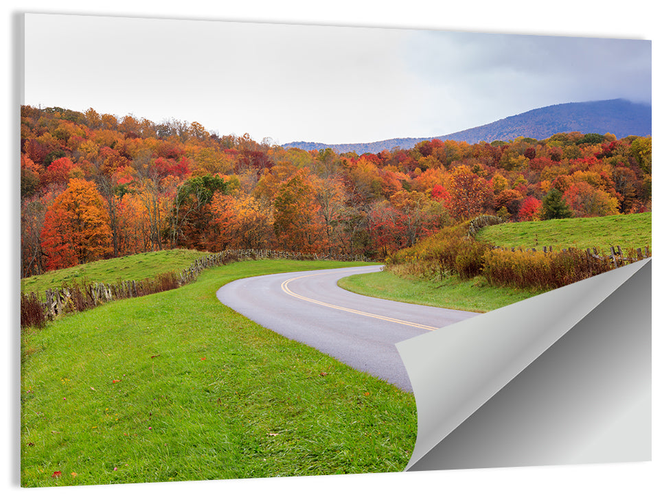 Road Through Meadow Wall Art