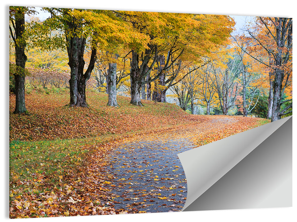 Autumn Leaves on Road Wall Art