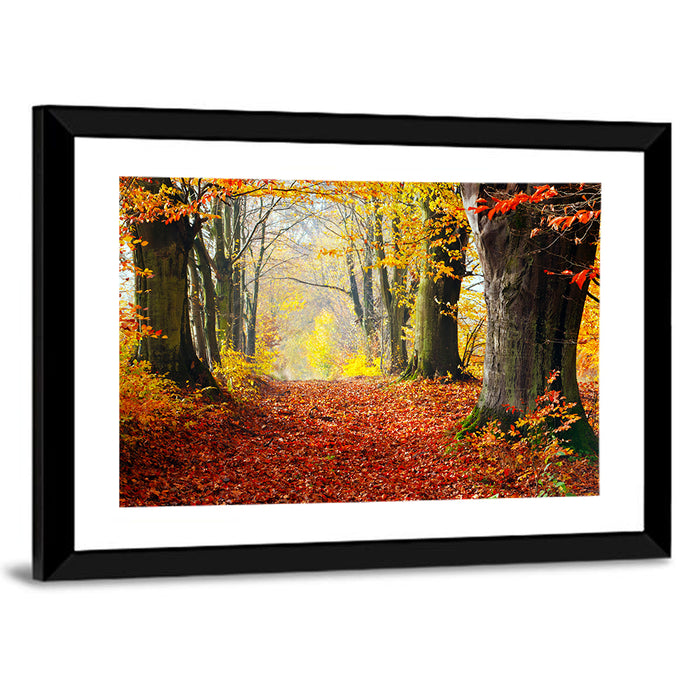 Misty Autumn Forest Path Wall Art as a framed print