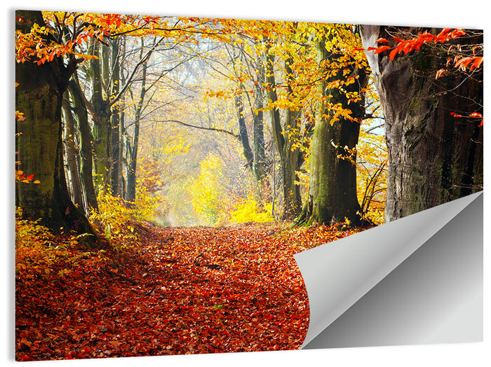 Misty Autumn Forest Path Wall Art as a poster print
