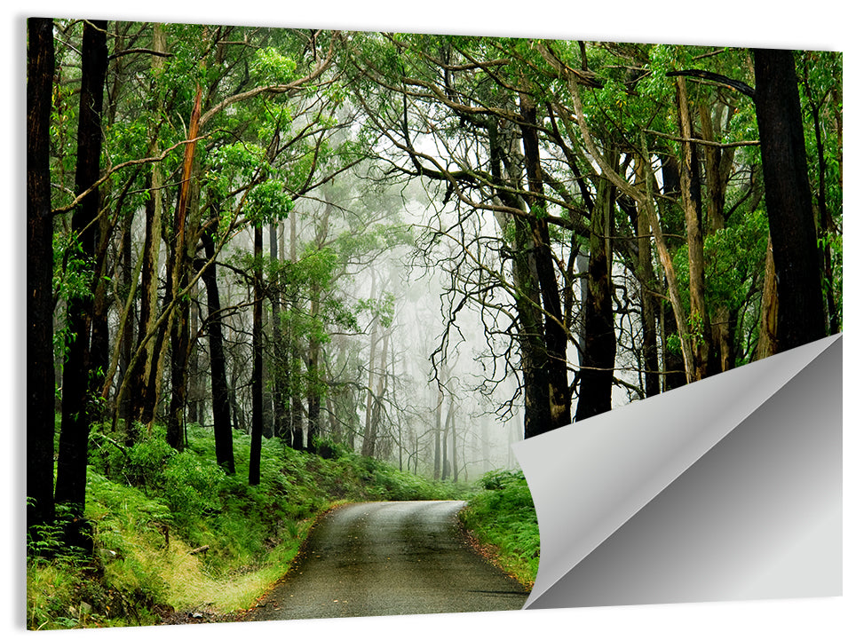 Foggy Forest Road Wall Art